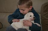 ENFANT ET CHIEN 467